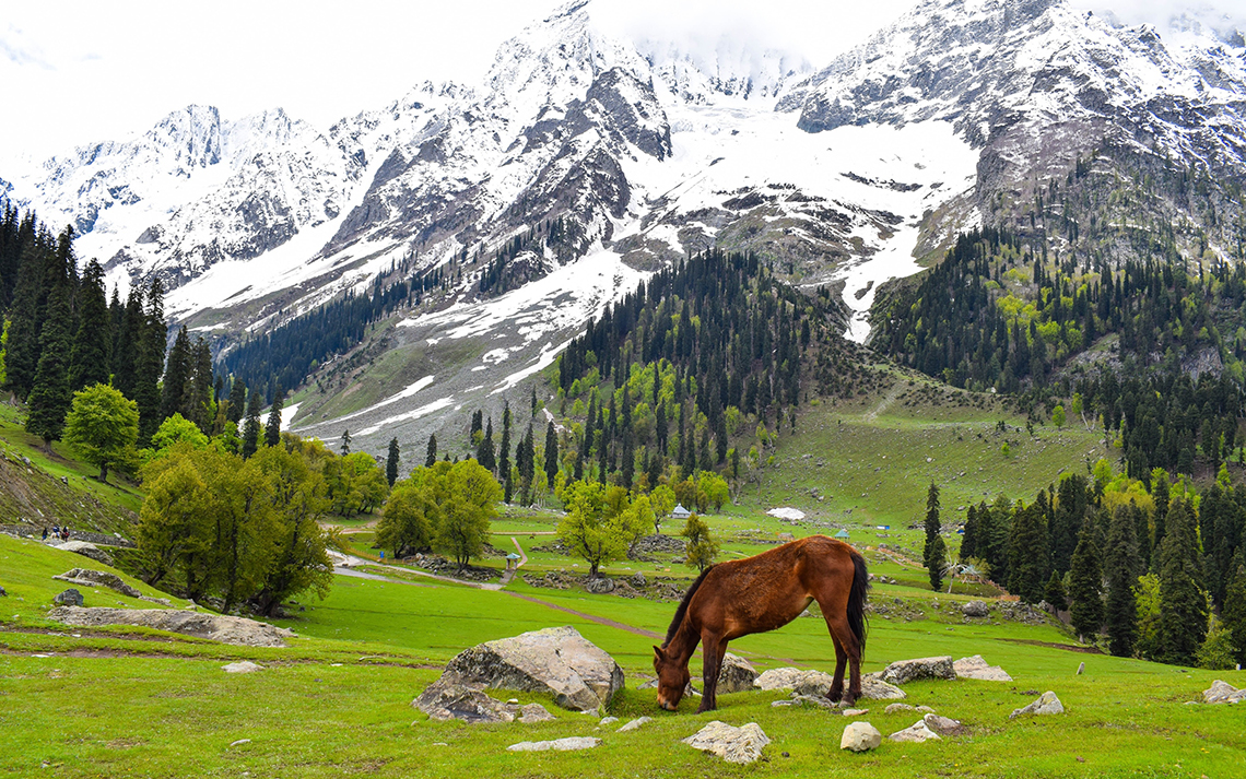 Pahalgam-jamu